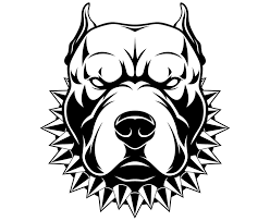 Use a series of overlapping curved lines to draw the shape of the face, the upper lip, and. Cool Dog Drawings Pitbull Novocom Top