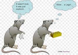Cartoon library, fully catalogued and searchable, instant downloads. Cartoon Art Cartoon Rat Pictures