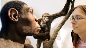 Also gibt es neurotechnologie vor allem für therapeutische zwecke? Homo Sapiens Die Entwicklung Des Modernen Menschen Br Wissen