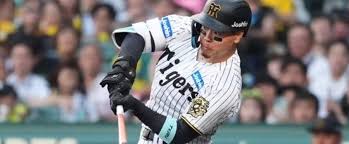 佐藤輝明が豪快11号 甲子園熱狂