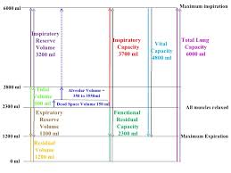 volumes capacities 2