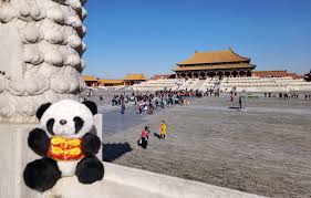 ぬいぐるみ 旅行