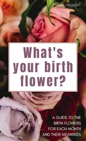 Birth Flowers For Each Month Of The Year Birth Month Flowers And Their Meanings Growing Family In 2020 Birth Month Flowers Month Flowers February Birth Flowers