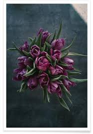 Discover trending #floral images on picsart. Floral Decorative Flower Bouquet Of Tulips Poster Juniqe