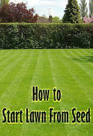 To Start New Lawns Many People Wonder Which Is Better Laying Sod Or Sowing Seeds While Laying Sod Is Fast And Produce Seeding Lawn Planting Grass Grass Seed