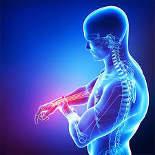 Maybe you would like to learn more about one of these? El Sindrome De Guillain Barre Como Afecta A Nuestra Salud Medidas Preventivas Y Fisioterapia En La Recuperacion De Las Secuelas Clinica Ecomusculo