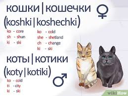 How to say black cat in german. How To Say Cat In Russian 5 Steps With Pictures Wikihow