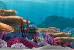 Finding Nemo Theme