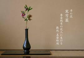 季の花 奈良 茶道教室 表千家 茶花 茶事 茶会 茶花 入れ方 4月 設え 寒芍薬 古銅時代つる首 真塗り蛤板 茶道 生け花 奈良町