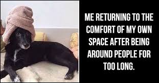 61 Funny Clean Memes That You Re Going To Love Rated E For Everyone With so many terrible things happening constantly in the world it's easy to become cynical and this is also true for memes.