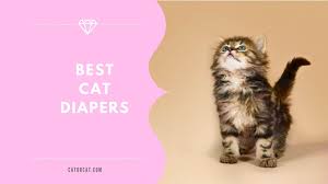 These pads may be folded over and inserted into the inner liner of joybies piddle pants , or can be cut smaller to preferred size for your pet's needs. Top 5 Cat Diapers Washable Disposable Pros Cons Of Using
