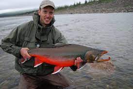 Everything You Want To Know About Arctic Char Salvelinus Alpinus Orvis News