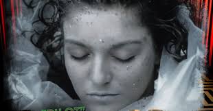 'Twin Peaks' Recap Episode 1: "Pilot"