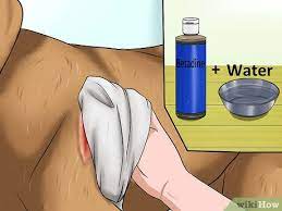 The other main objective is to eliminate pain by using gentle, soothing products on your pet's wound. How To Clean A Dog S Wound 15 Steps With Pictures Wikihow