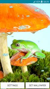 My world is small, but since i'm looking up at the space night after night, you could say i'm a frog on a universal scale. Amazon Com Live Wallpapers Frog Appstore For Android