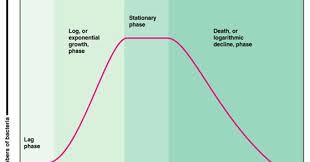 Pertumbuhan bakteri adalah reproduksi aseksual menggunakan cara pembelahan sel, dimana bakteri menjadi dua sel anak, dalam proses yang disebut sebagai binary fission. Pertumbuhan Mikroba Kinetika Perhitungan Populasi Kultur Rumus Fase Metode Faktor