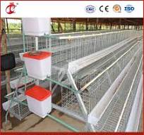 Mejor jaula de gallinas, un tipo de jaula para ponedoras, fabricante chino  de casas de madera para gallinas ponedoras, jaulas de alta calidad para  aves de corral, configuración de jaulas para ...