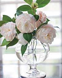 Home Tour Riverside Cottage Flower Arrangements Beautiful Flowers Flowers