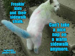 The internet loves cats whether they're grumpy, happy, sad, or just moments from creating mischief. And I Hate The Taste Of It When I Clean Myself Up Lolcats Lol Cat Memes Funny Cats Funny Cat Pictures With Words On Them Funny