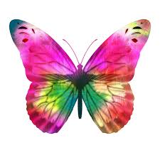 Check spelling or type a new query. Heller Rosa Schmetterling Kostenloses Stock Bild Public Domain Pictures