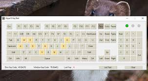 Inilah 6 Software Untuk Cek Semua Tombol Keyboard Laptop Edutizen