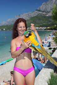 Displaying 1 to 10 of 500 alternatives to www.rajce.idnes.cz. Rajce Deti Idnes Rajce Beach 04