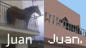 Sous l'insistance de juanjo guarnido, juan díaz canales accepte sa collaboration et ils commencent alors à travailler sur ce projet de bande dessinée , blacksad. Juan In Minecraft Juan Horse On Balcony Know Your Meme