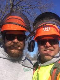 Wilson Tree Service
