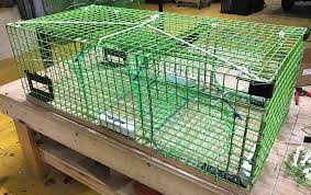 Sale items at lobster trap art | specials for you. Dorr Lobster Trap Shop Posts Facebook