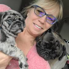 P C Pugs Aka Pug Puppy Love Home Facebook