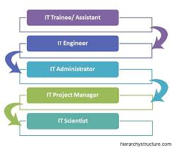 It Career Hierarchy Career Hierarchy Career Path