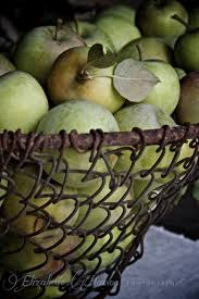 The Adventures Of Elizabeth Vert Pomme Vert Et Brun Fruits Et Legumes