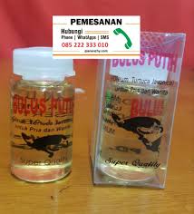 Berikut ini adalah beberapa ciri ciri pria mandul yang sulit menyebabkan mempunyai anak dan harus segera diatasi seseuai penyebabnya. Cara Membedakan Minyak Bulus Asli Dan Palsu Klaten 085222333010 Detikforum