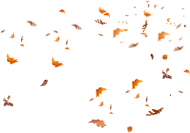 Falling Autumn Leaves Png Images Download Fall Leaves Png Autumn Leaves Fall Pictures