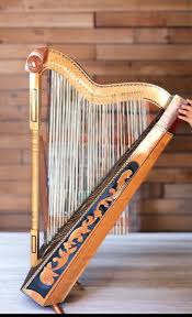 Image result for Harpachne