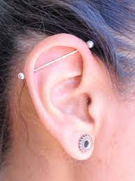 This This Is All I Want I Loooooooooove This I Want To Stretch My Ears And Get An Industria Earings Piercings Industrial Piercing Jewelry Earing Bar Piercing
