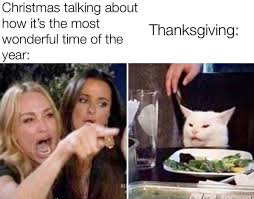 66 Woman Yelling At A Cat Memes That Still Slap In 2020 Funny Gallery