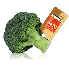 Immediate result in 10 seconds, best result in 30 seconds. 6 In 1 Greentest Eco 5 Fish Geiger Counter Nitrate Tester Fruit Vegetable Meat Tds Water Tester Radiation Meter Radiation Meter Nitrate Tester Geiger Counter Dosimeter Nitrate Meter Gold Amazon De Business Industry