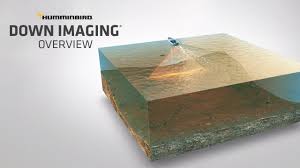Maybe you would like to learn more about one of these? Mega Imaging Humminbird