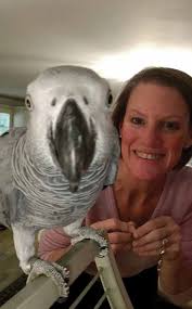 the 'WHO RUNS THE WORLD?' issue