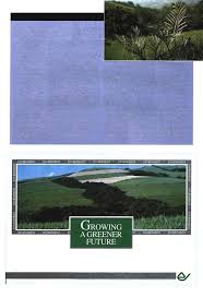 Image result for Helixanthera woodii