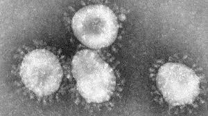 The variant, named b117, was discovered during an investigation into why coronavirus cases in kent about 35 per cent of patients infected by b117 had high levels of the virus in their samples. The Woman Who Discovered The First Coronavirus Bbc News