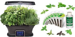 We did not find results for: Amazon 1 Day Aerogarden Sale From 11 50 Indoor Gardens Seed Kits Accessories More 9to5toys