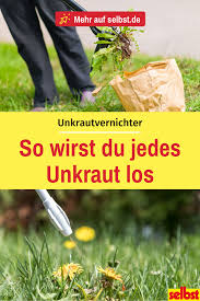 Vieles wird als hausmittel gegen ameisen empfohlen, aber nicht alles funktioniert auch wirklich. Rasen Unkrautvernichter Selbst De Unkraut Unkraut Im Rasen Unkrautvernichter
