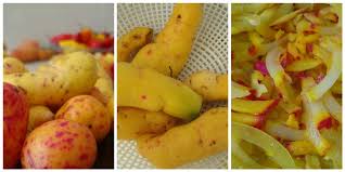 Todo sobre el olluco o melloco 【propiedades, beneficios, recetas, usos, imagenes, recomendaciones y más 】aquí tendrás toda la información que necesitas. Ollucos One Of A Kind Peru Delights