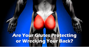 They are sometimes called the gluteal muscles. Butt Muscles