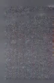 Image result for Cordia torrei