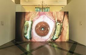 Bildergebnis für Shuang Li