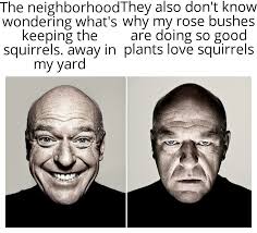 So we could be many different things