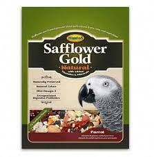 Bird Food Seed For Parrots Bulk 25 Pound Bag Higgins Safflower Gold For Parrot Bird Food Is The Gourmet Fortified Bird Food Wi Safflower Natural Food Bird Food